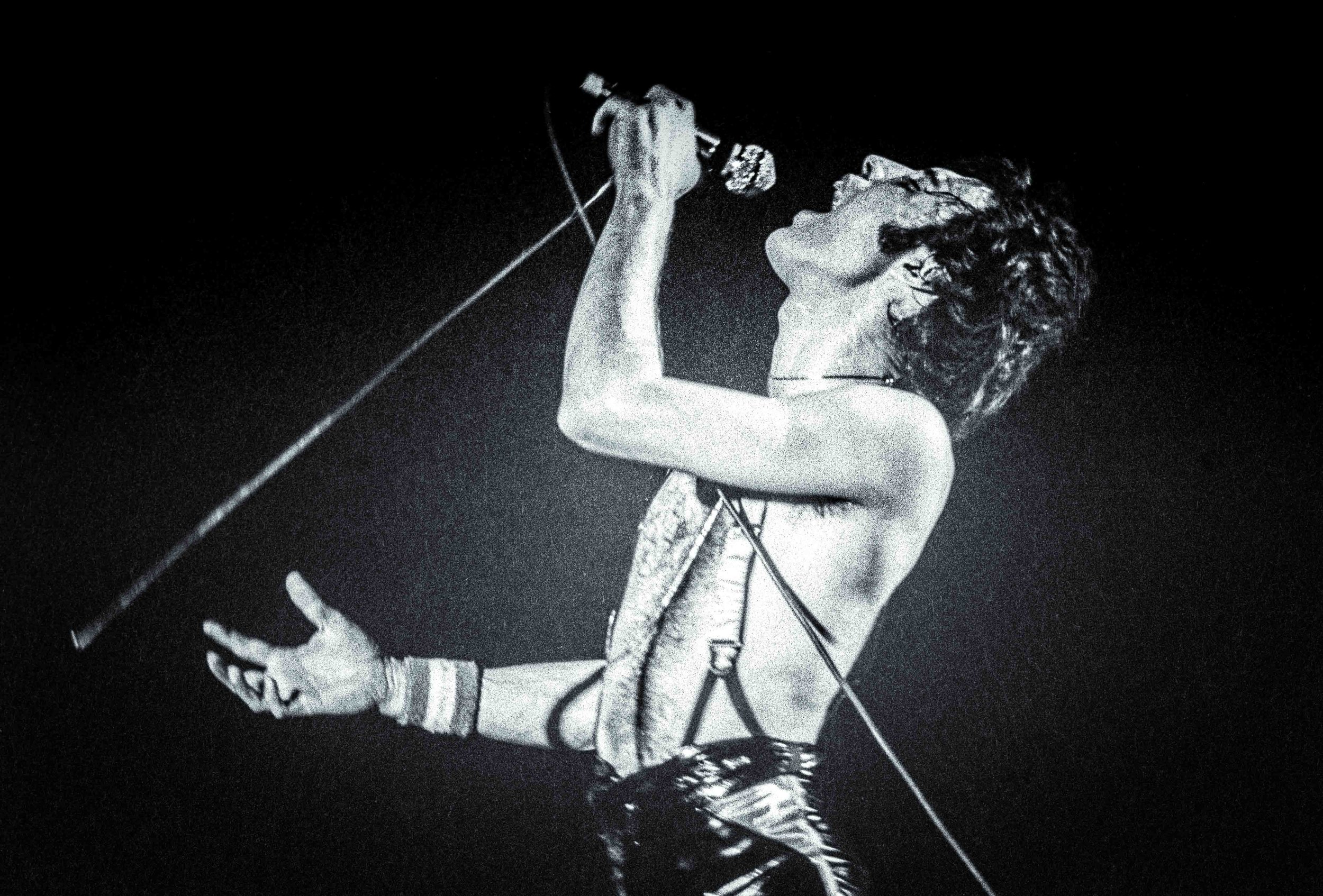 Freddie Mercury 1978